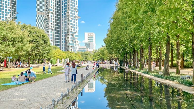 Seoul Forest tuyệt tác thiên nhiên và kiến trúc giữa lòng thủ đô 6