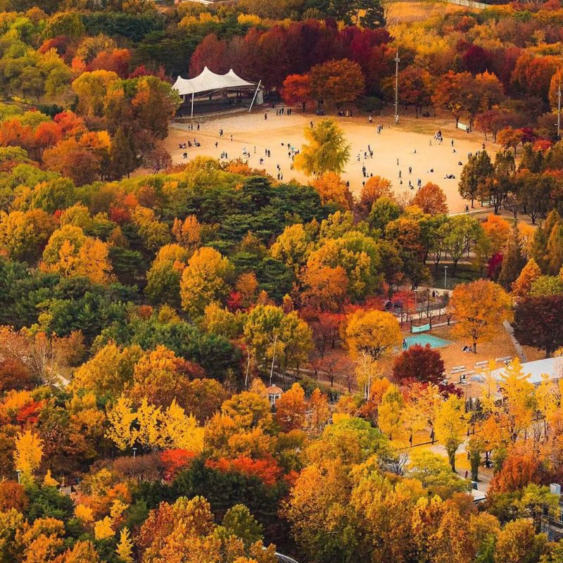 Seoul Forest tuyệt tác thiên nhiên và kiến trúc giữa lòng thủ đô 7