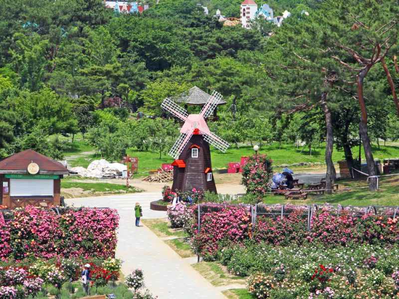 Một ngày tại Seoul Grand Park: Điểm vui chơi cho mọi lứa tuổi 5