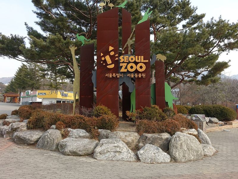 Một ngày tại Seoul Grand Park: Điểm vui chơi cho mọi lứa tuổi 3