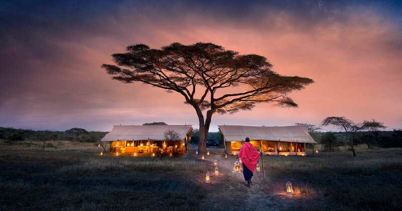 Serengeti: Miền đất hoang dã vĩnh cửu của Lục địa Đen 3