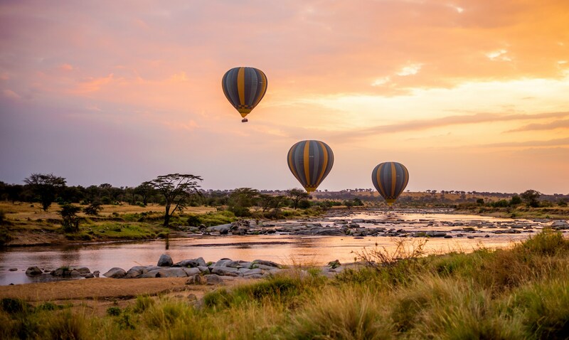 Serengeti: Miền đất hoang dã vĩnh cửu của Lục địa Đen 7