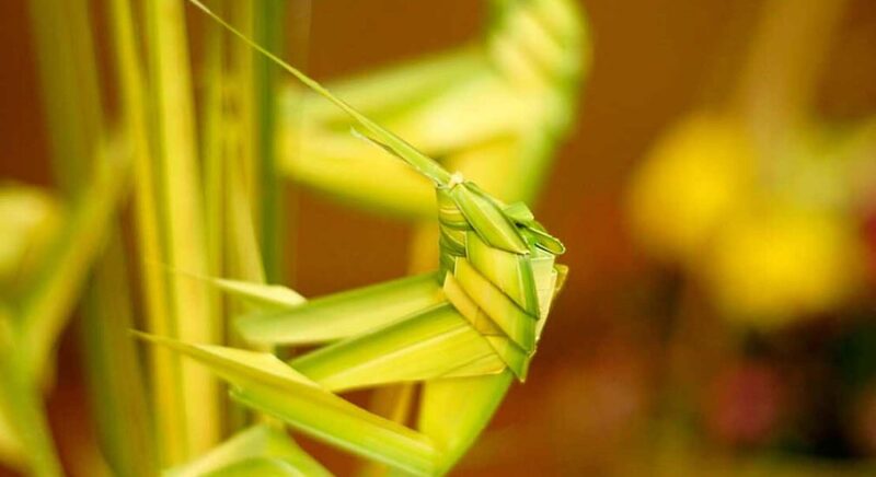 Shining Riverside Hoi An, ốc đảo Á Đông bên dòng Thu Bồn thơ mộng 13