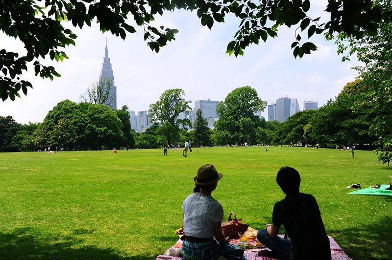 Vườn Quốc gia Shinjuku Gyoen màu sắc tương phản giữa Tokyo nhộn nhịp 9