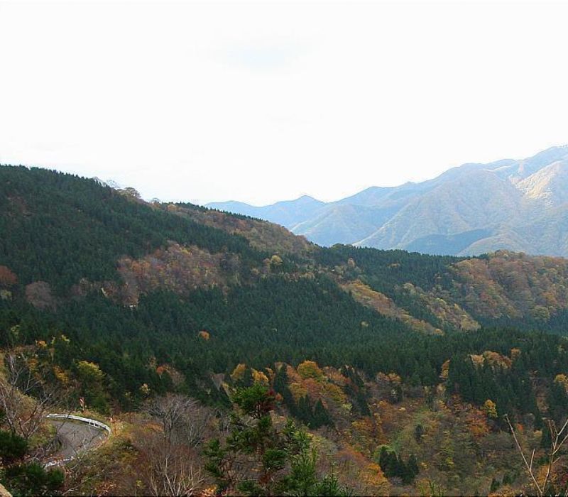 Đến Shirakami Sanchi khám phá kho báu xanh của Nhật Bản 3