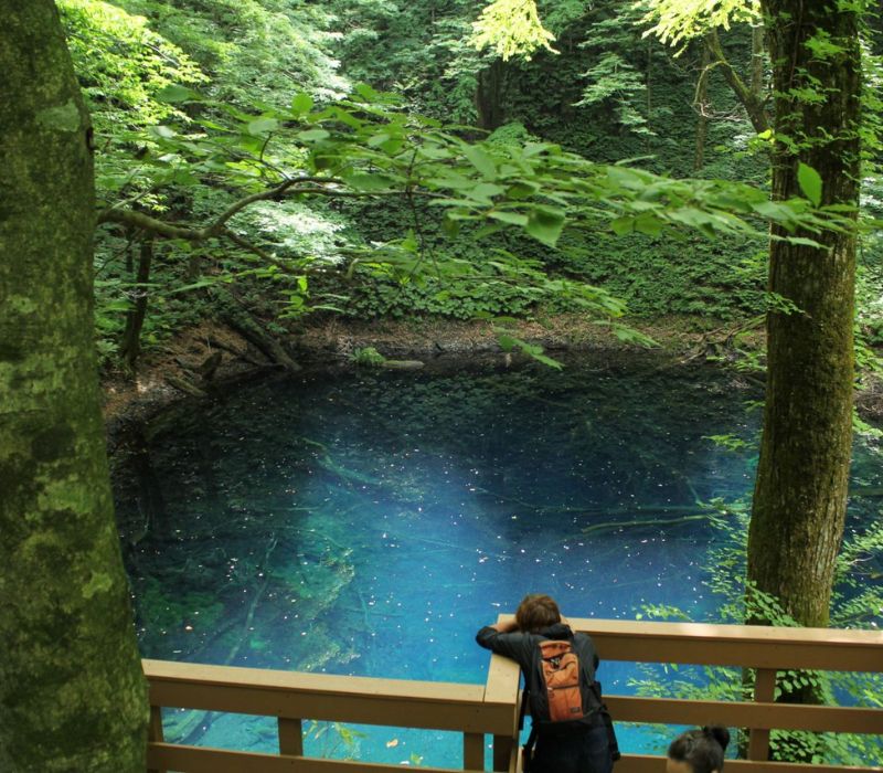 Đến Shirakami Sanchi khám phá kho báu xanh của Nhật Bản 4