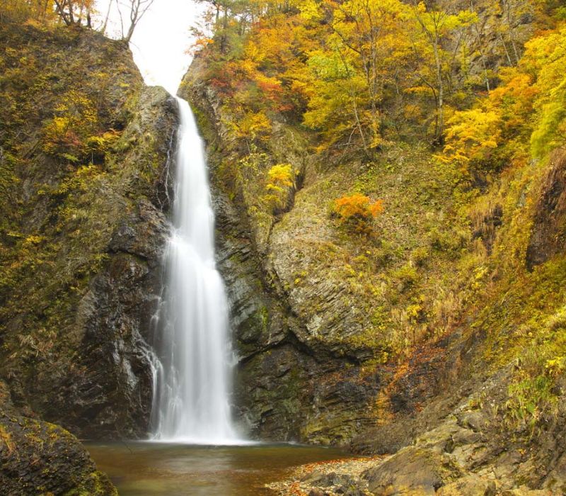 Đến Shirakami Sanchi khám phá kho báu xanh của Nhật Bản 5