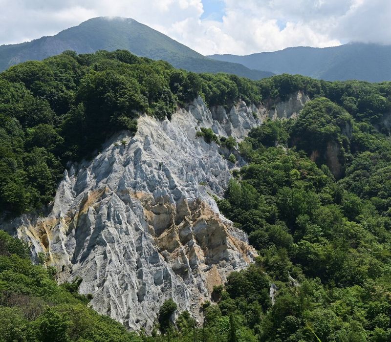 Đến Shirakami Sanchi khám phá kho báu xanh của Nhật Bản 7