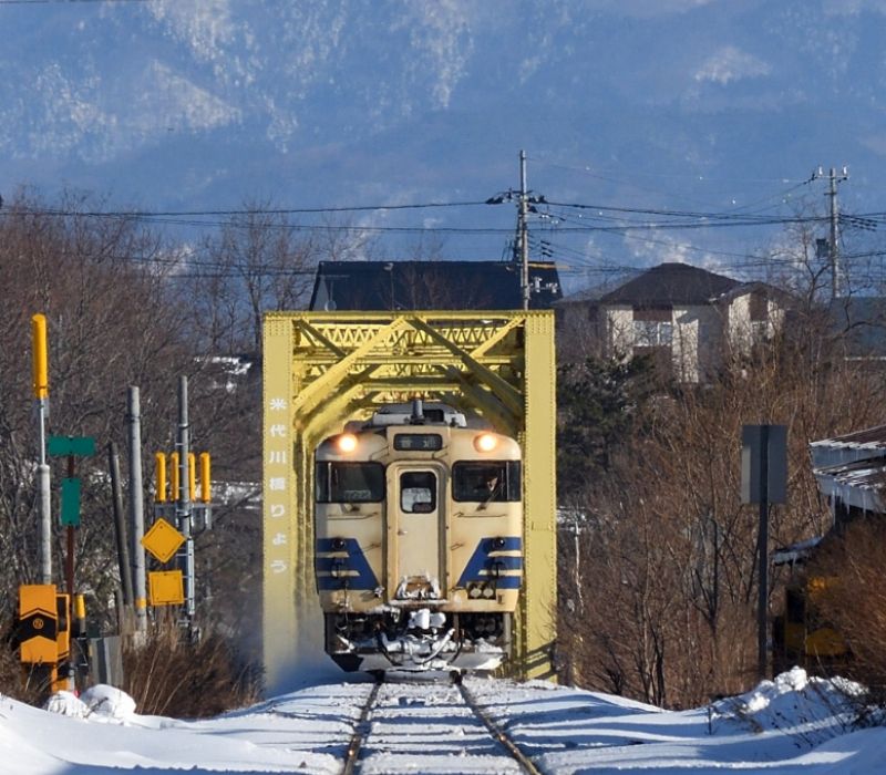 Đến Shirakami Sanchi khám phá kho báu xanh của Nhật Bản 10