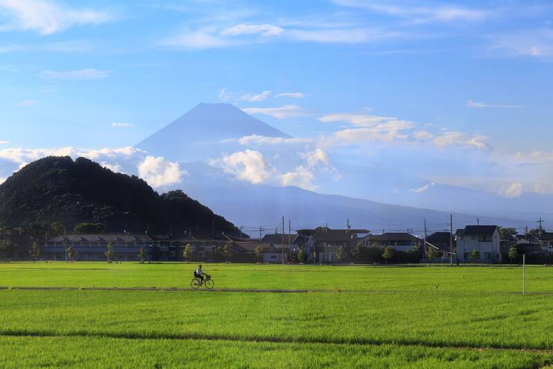 Shizuoka điểm đến hướng về núi Phú Sĩ linh thiêng của Nhật Bản 4