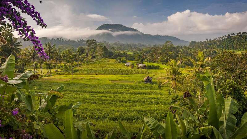 Sidemen Bali viên ngọc ẩn mình giữa ruộng bậc thang Indonesia 2