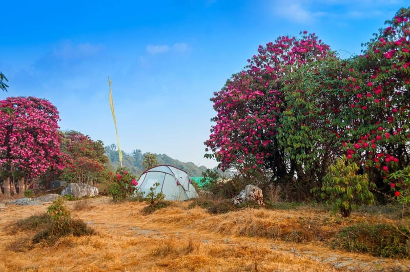 Sikkim viên ngọc ẩn bên những tu viện linh thiêng của Ấn Độ 10