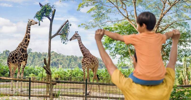 Singapore nổi tiếng về cái gì? Cùng MIA.vn khám phá 10 điều đặc biệt nhé! 10