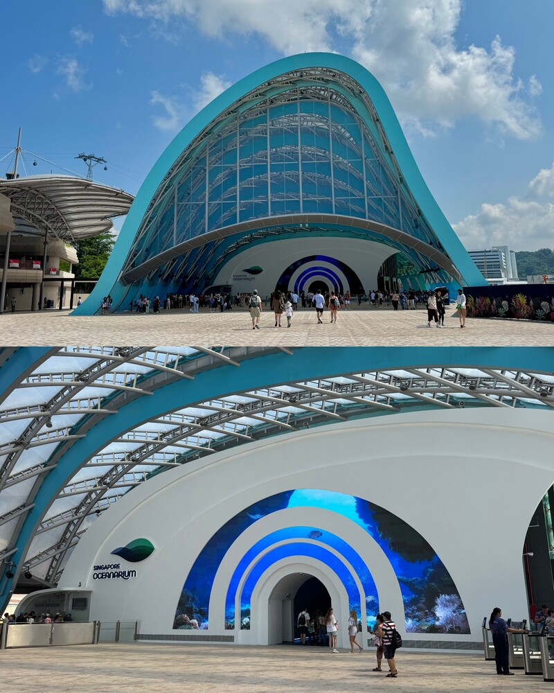 Cẩm nang khám phá Singapore Oceanarium đại dương thu nhỏ 2026 2