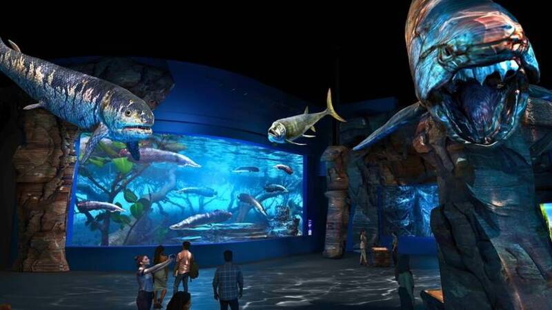 Cẩm nang khám phá Singapore Oceanarium đại dương thu nhỏ 2026 4