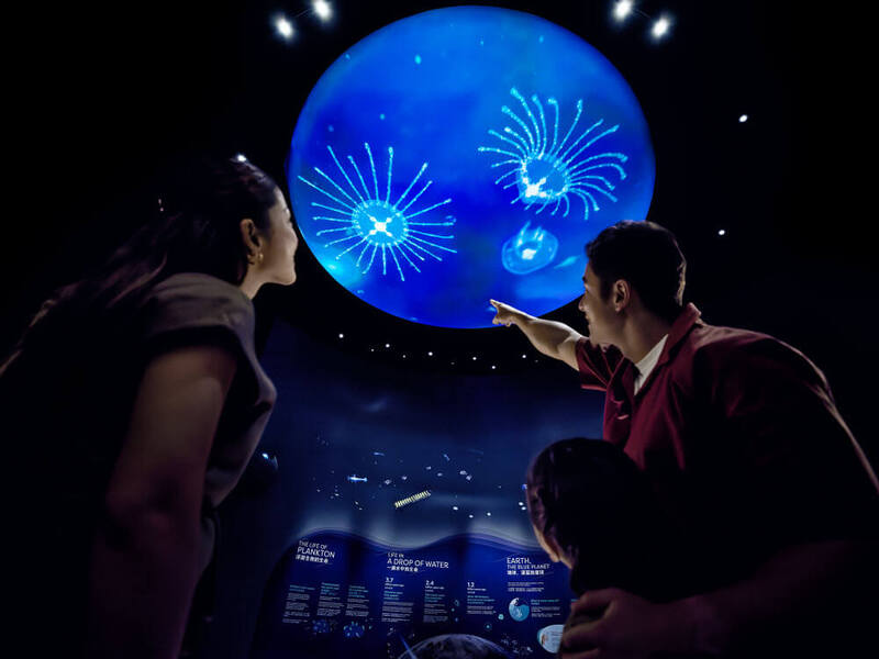 Cẩm nang khám phá Singapore Oceanarium đại dương thu nhỏ 2026 5
