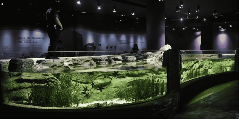Cẩm nang khám phá Singapore Oceanarium đại dương thu nhỏ 2026 8