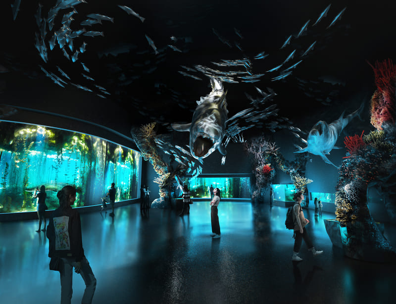 Cẩm nang khám phá Singapore Oceanarium đại dương thu nhỏ 2026 9