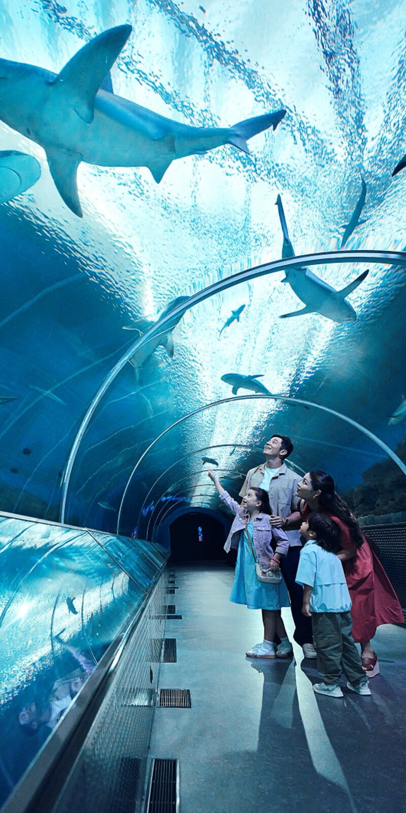 Cẩm nang khám phá Singapore Oceanarium đại dương thu nhỏ 2026 10