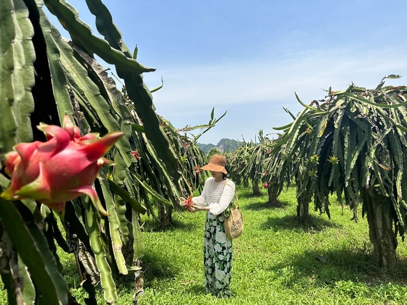 Sỏi Resort in Farm Hòa Bình địa điểm nghỉ dưỡng nạp năng lượng xanh 12