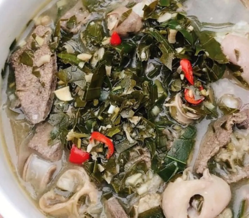 Sơn Dương Tuyên Quang: Hành trình về 'thủ đô kháng chiến' và khám phá đại ngàn 11