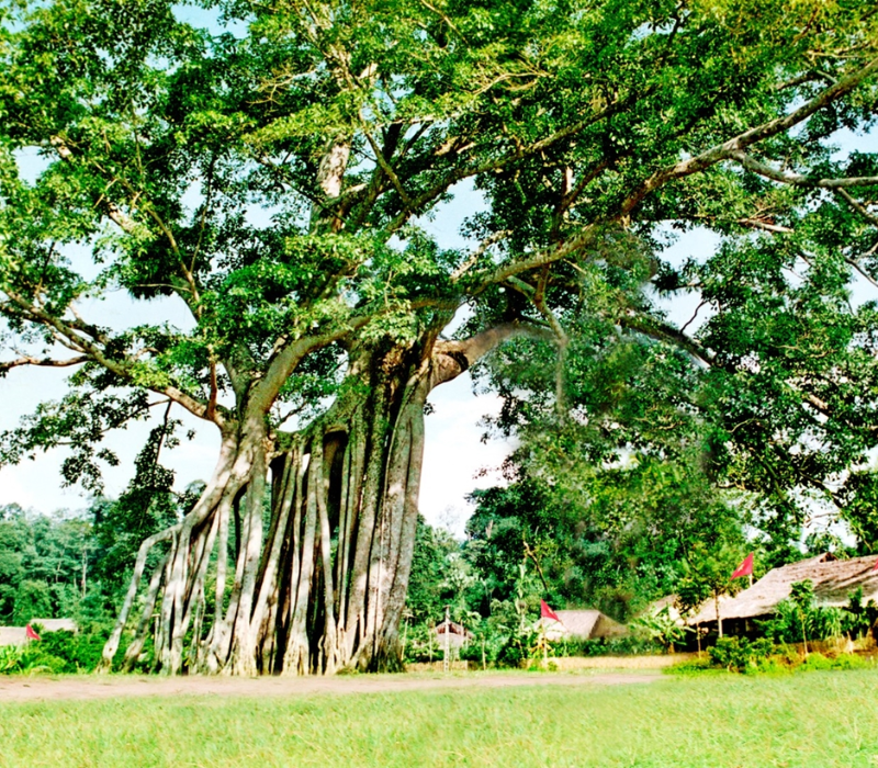 Sơn Dương Tuyên Quang: Hành trình về 'thủ đô kháng chiến' và khám phá đại ngàn 4