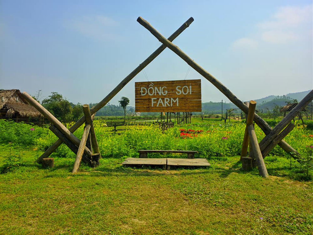 Sống ảo tung chảo tại Dong Soi Farm Quảng Bình 2