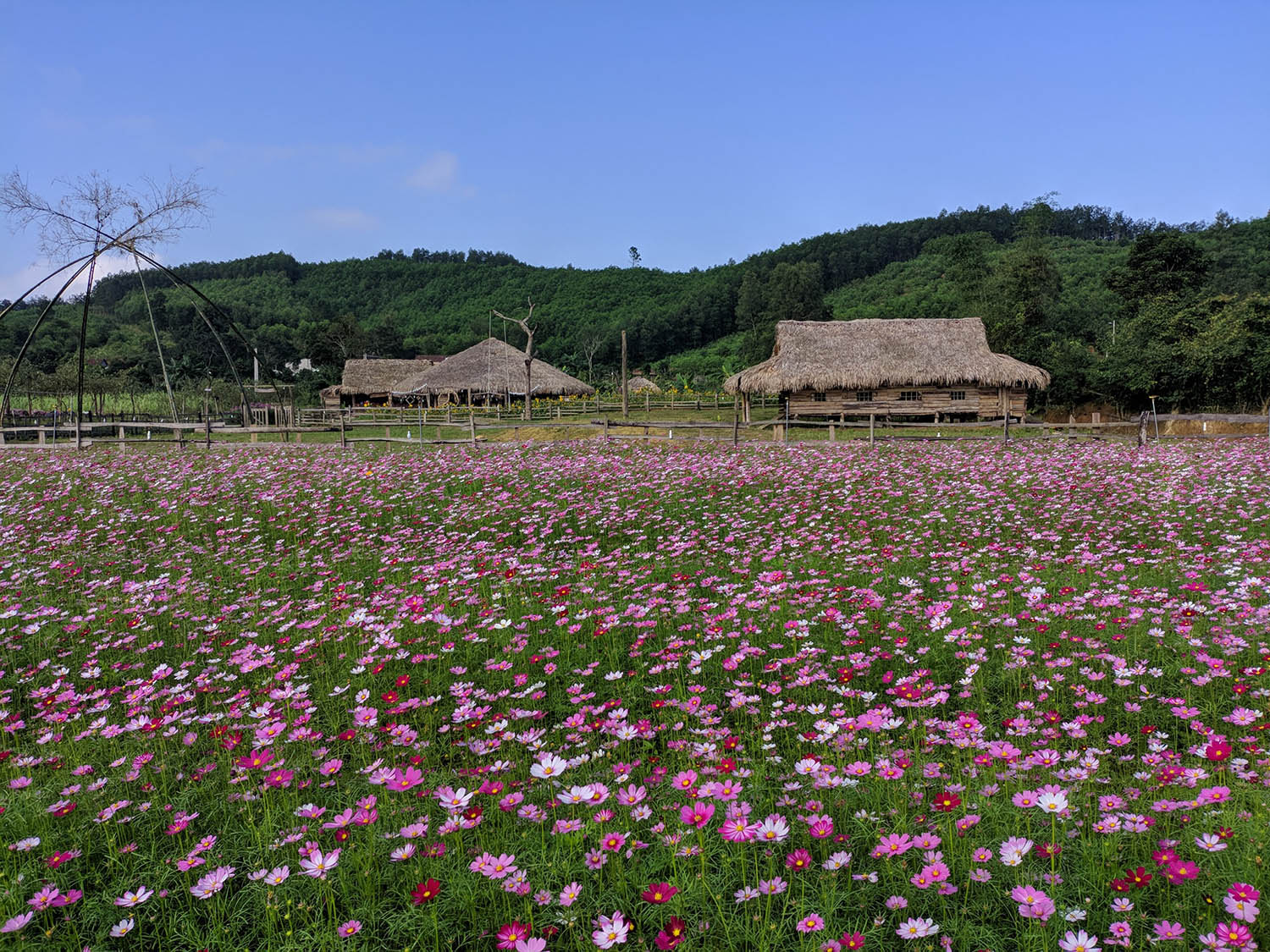 Sống ảo tung chảo tại Dong Soi Farm Quảng Bình 3