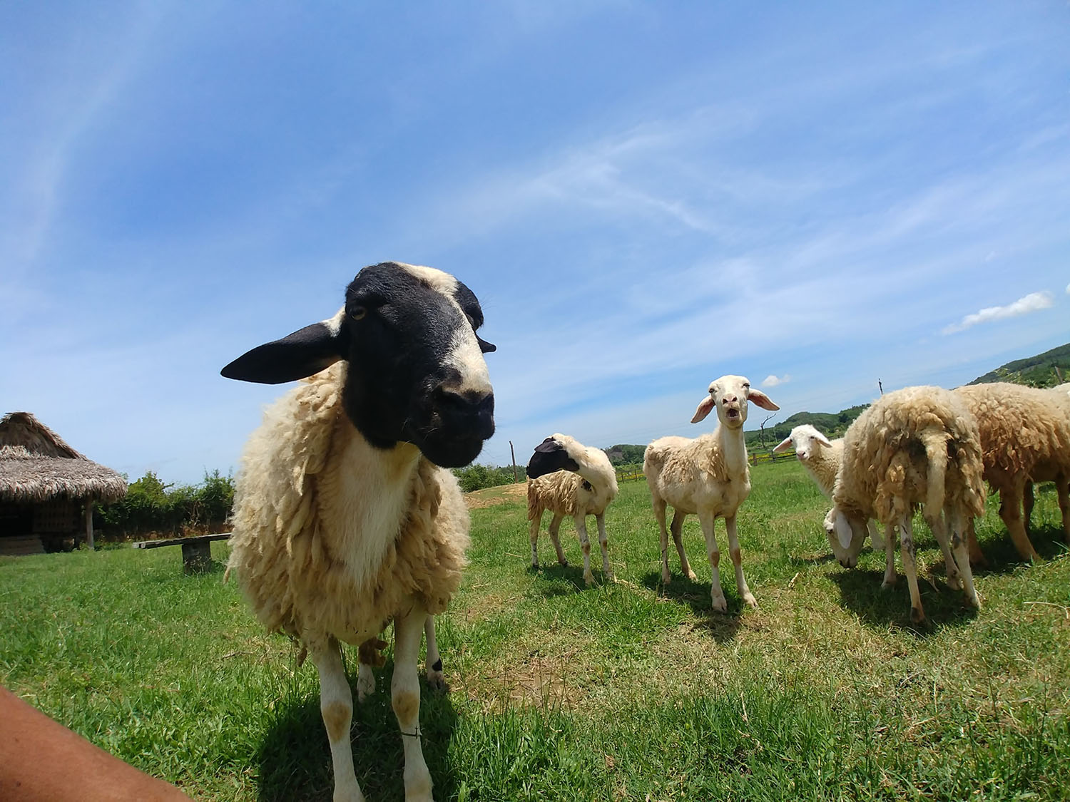 Sống ảo tung chảo tại Dong Soi Farm Quảng Bình 5