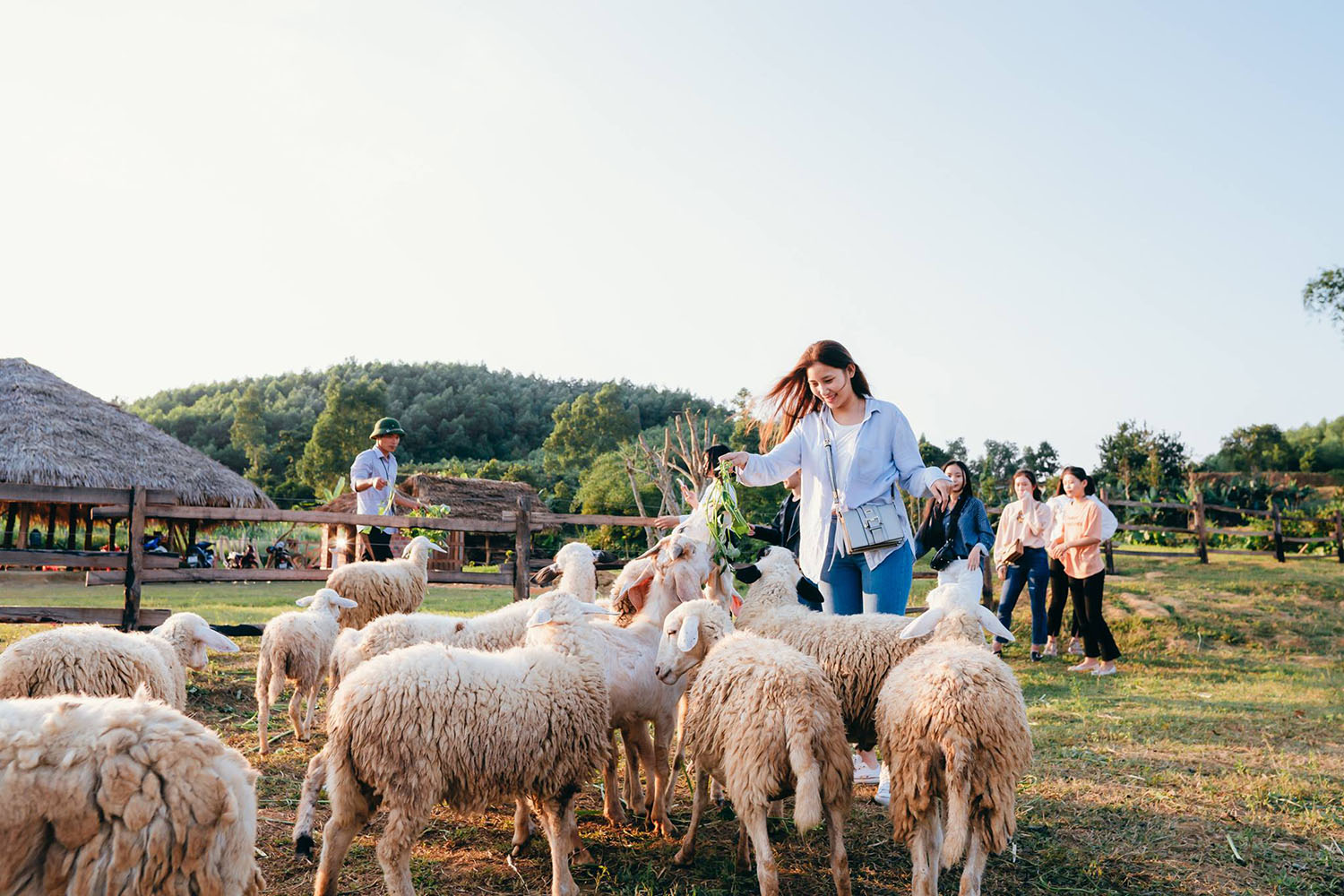 Sống ảo tung chảo tại Dong Soi Farm Quảng Bình 6