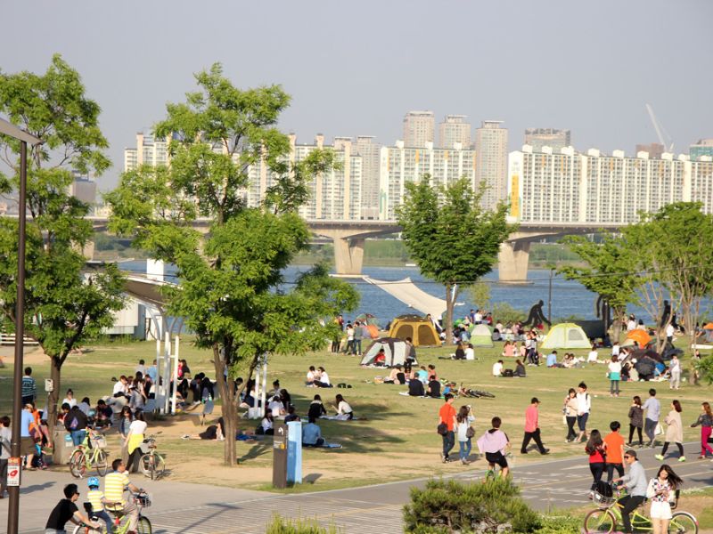 Vi vu sông Hàn Hàn Quốc với muôn vàn hoạt động thú vị 14