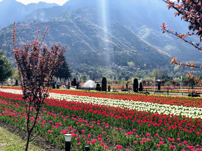 Srinagar: Thủ phủ mùa hè giữa vùng Kashmir 9