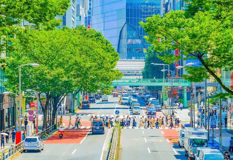 Khám phá Omotesando: Đại lộ hiện đại, xịn sò nhất tại Tokyo 3