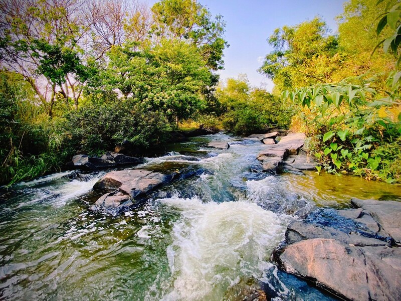 Top 6 thác nước và suối ở Đồng Nai mang vẻ đẹp hoang sơ, thanh bình 5