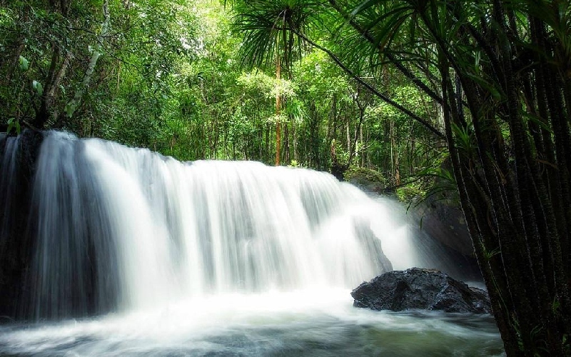 Suối Tranh Waterfall: Thiên đường xanh mát giữa rừng nhiệt đới 2