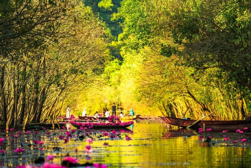 Dòng suối Yến mềm mại bên quần thể danh thắng chùa Hương 7