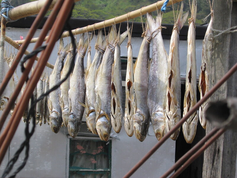 Làng chài Tai O Hong Kong: Di sản ven biển của đảo Lantau 4