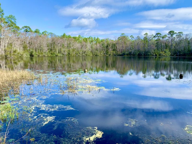 Tallahassee: Hành trình khám phá thủ đô yên bình của Florida 6