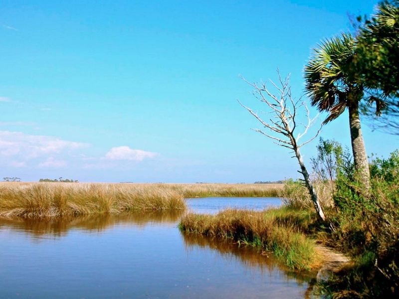 Tallahassee: Hành trình khám phá thủ đô yên bình của Florida 8