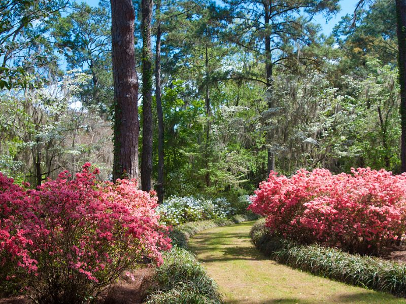 Tallahassee: Hành trình khám phá thủ đô yên bình của Florida 3