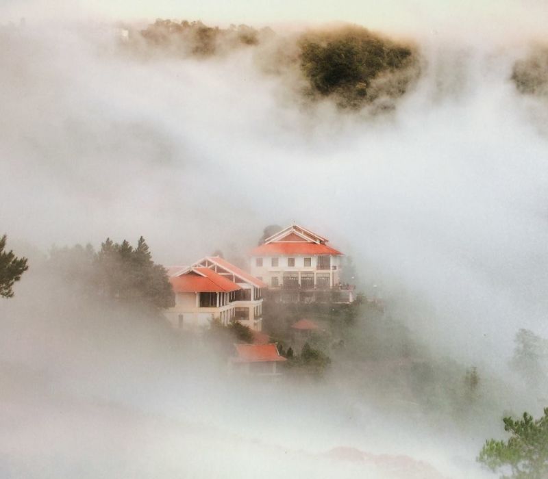 Tam Đảo Belvedere Resort tựa ốc đảo giữa miền đất mờ sương