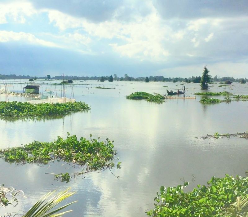 Tam Nông Đồng Tháp: Kinh nghiệm du lịch trải nghiệm vùng đất Sen Hồng 2