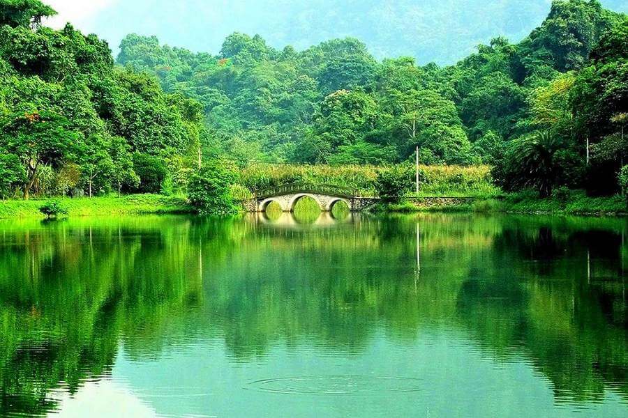 Tận hưởng cảnh sắc thiên nhiên và động vật hoang dã ở Vườn quốc gia Cúc Phương - Ninh Bình 5