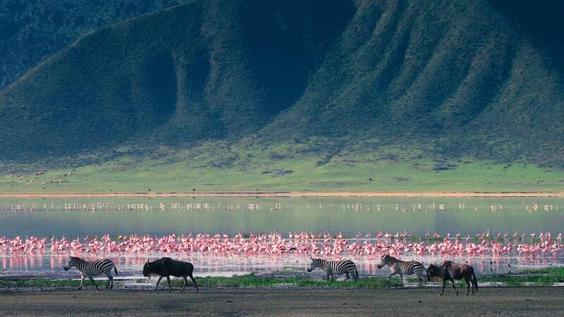 Bức tranh du lịch Tanzania với màu sắc huy hoàng 4