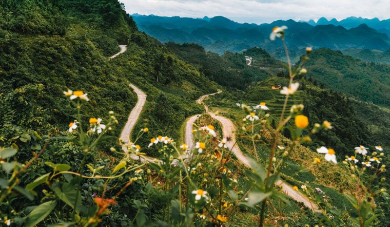 Kinh nghiệm du lịch Hà Giang tự túc, khám phá thiên đường nơi địa đầu Tổ quốc