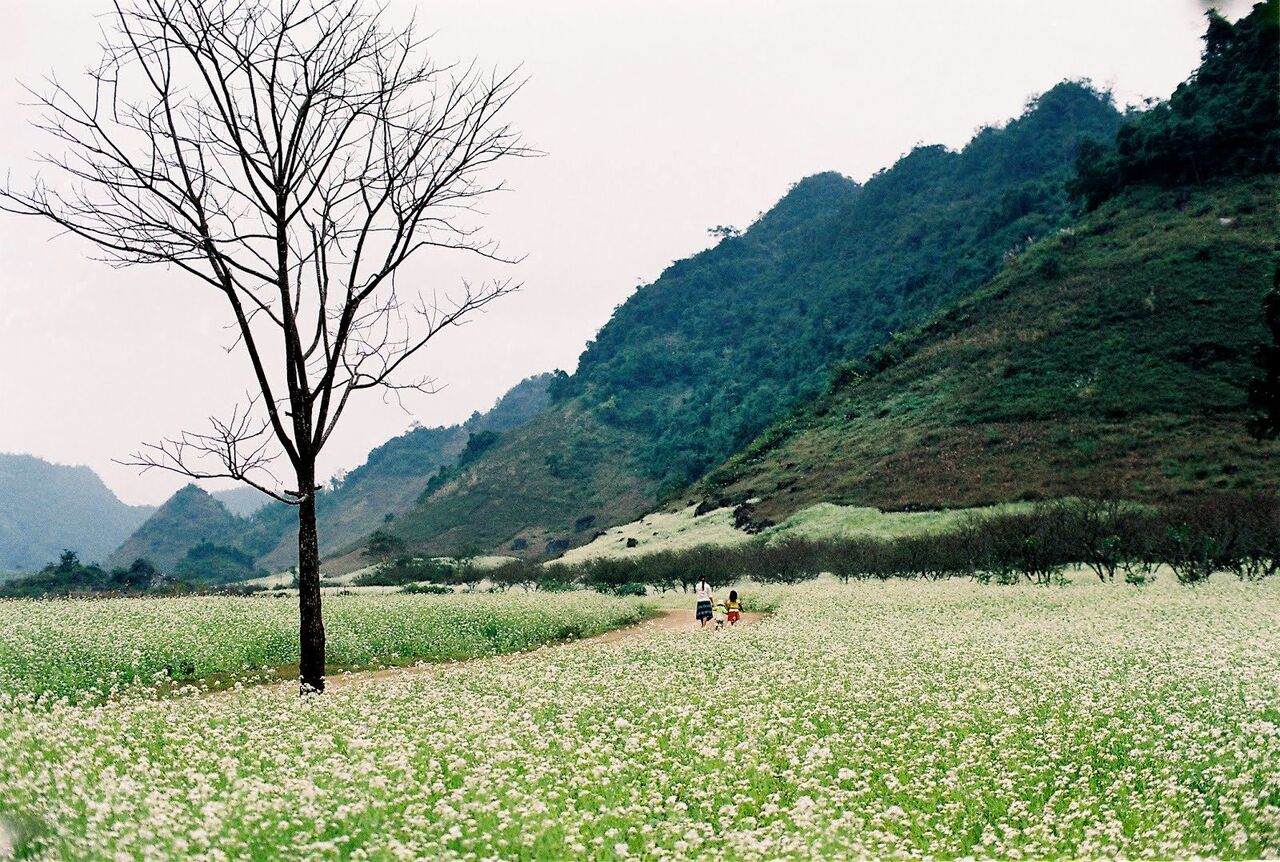 Tất tần tật kinh nghiệm trekking Pha Luông mới nhất từ MIA.vn 4