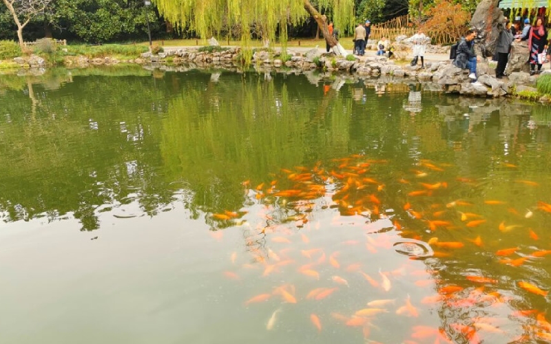 Tây Hồ Hàng Châu: Thiên đường cảnh sắc giữa lòng Trung Quốc 11