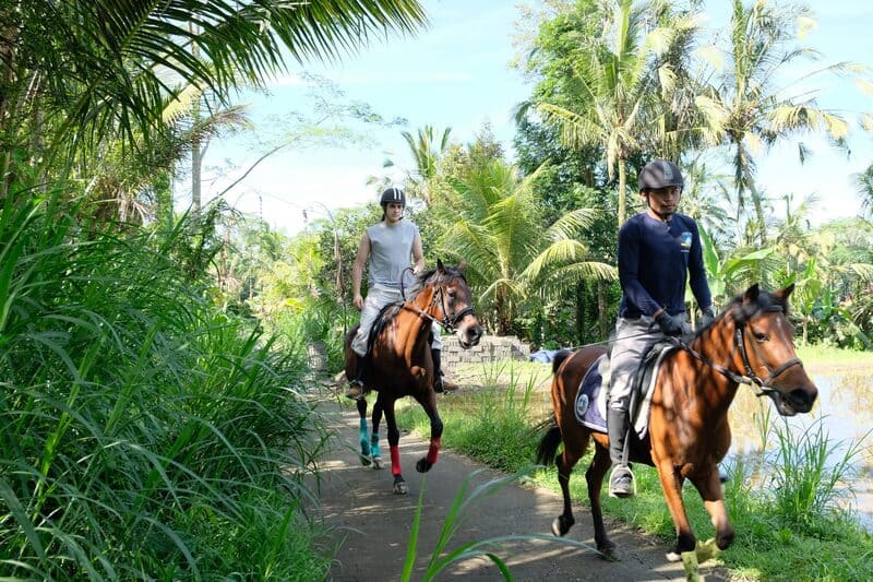 Khám phá Ruộng bậc thang Tegalalang, điểm đến hòa mình thiên nhiên 8