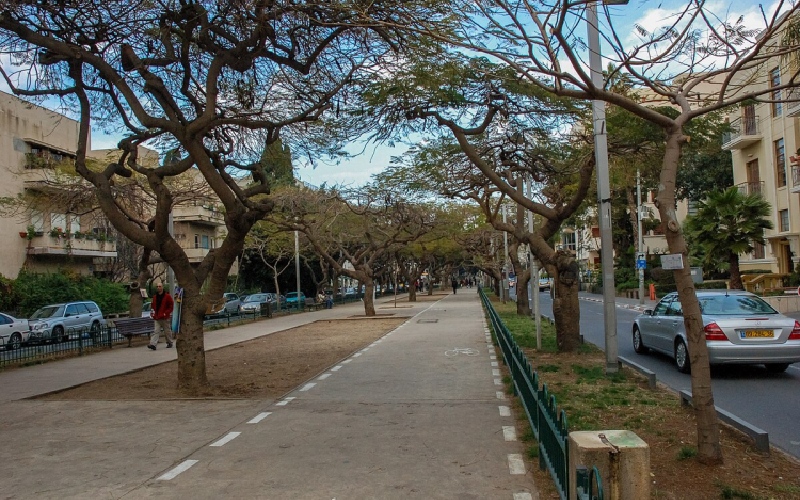 Tel Aviv: Thành phố không ngủ giữa lòng Israel hiện đại 8