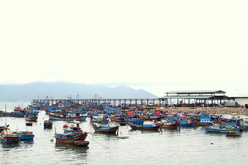 Lịch trình khám phá Đảo Khỉ - Suối Hoa Lan trong 1 ngày duy nhất 4